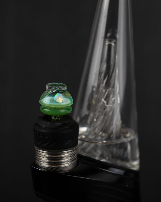 Skeleton Key Opal on Plantphibian