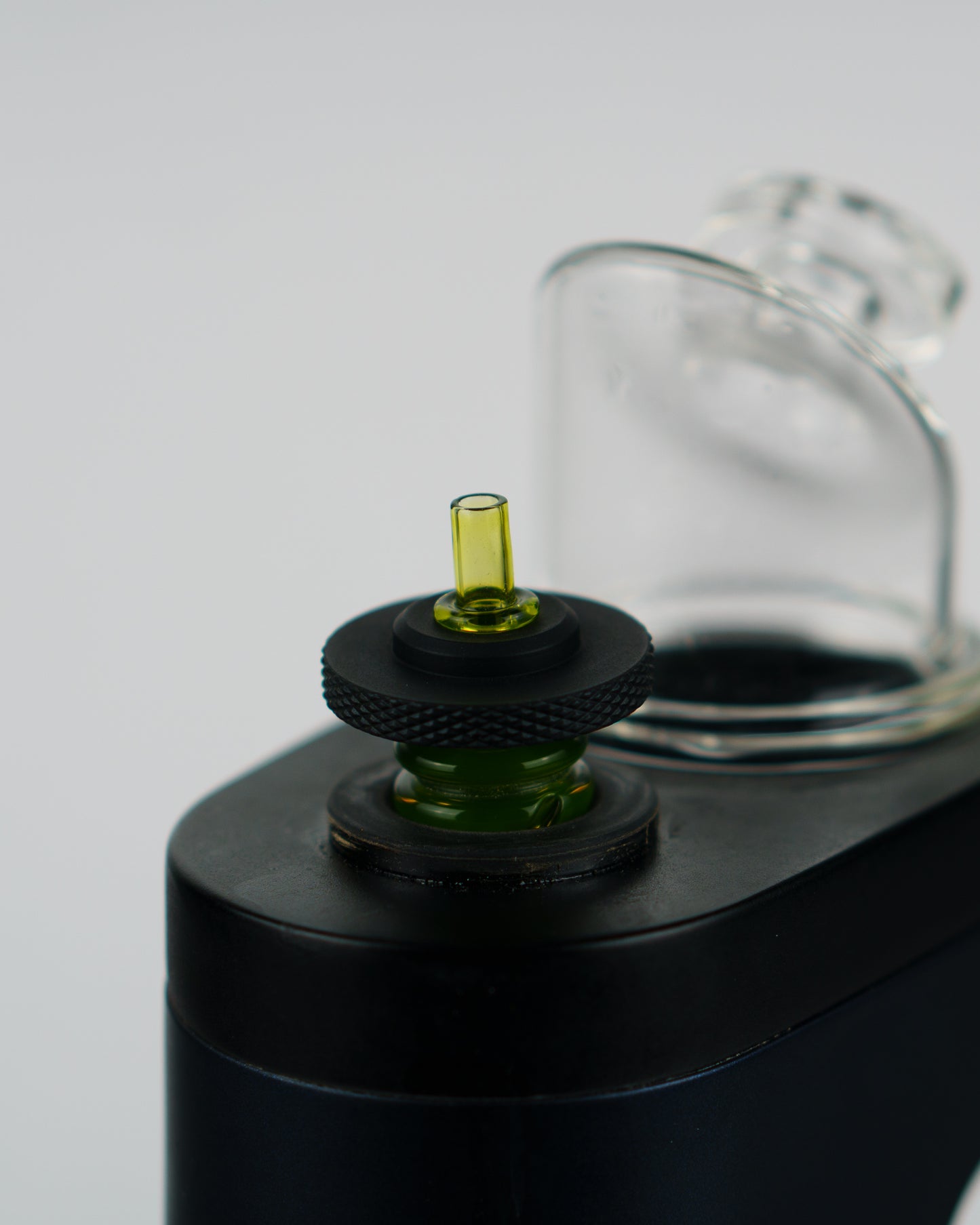 Switch Key Plantphibian