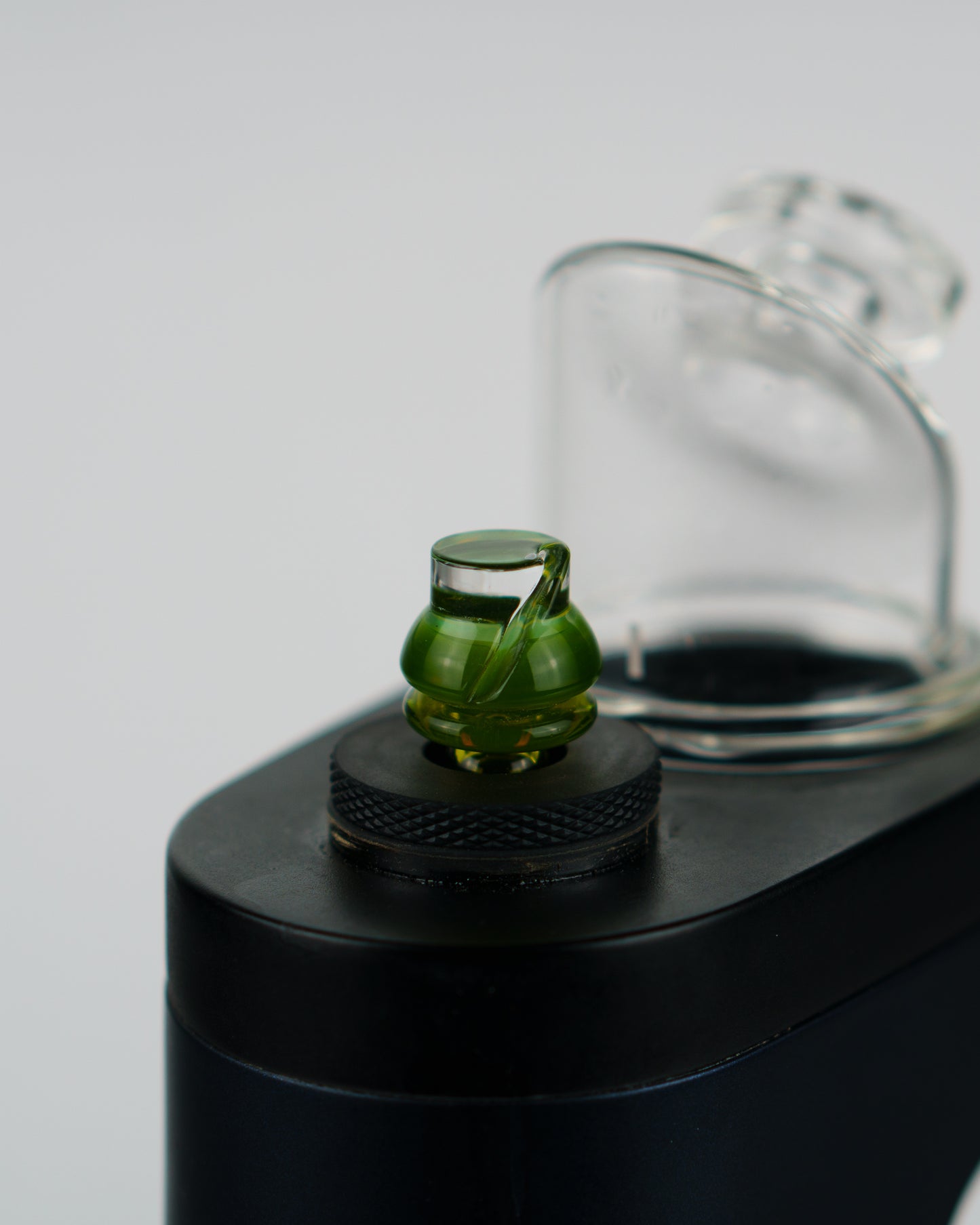 Switch Key Plantphibian