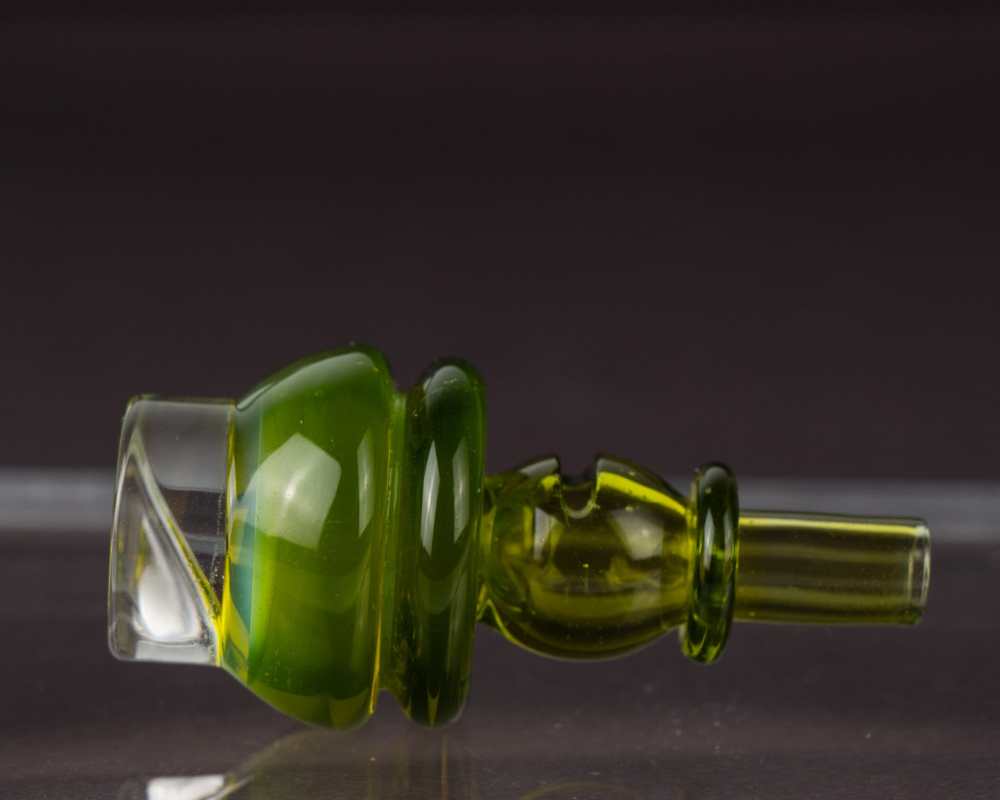 Switch Key Plantphibian